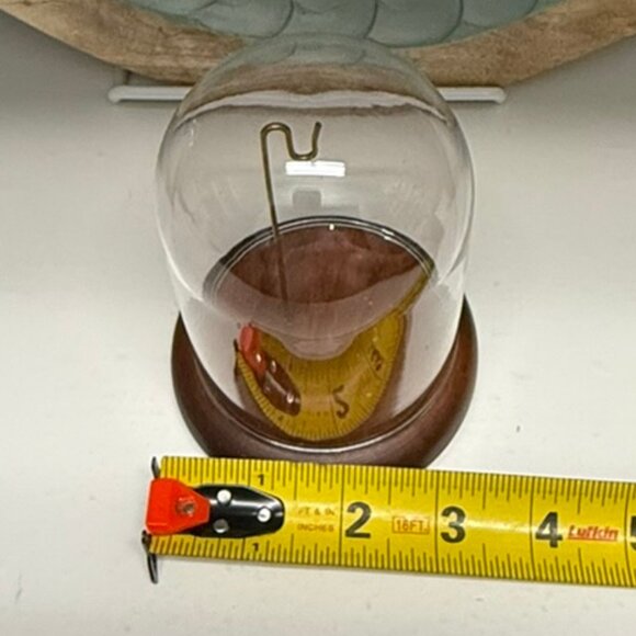 VINTAGE Clear Glass Dome With Display Hook and Wood Base - Picture 6 of 7